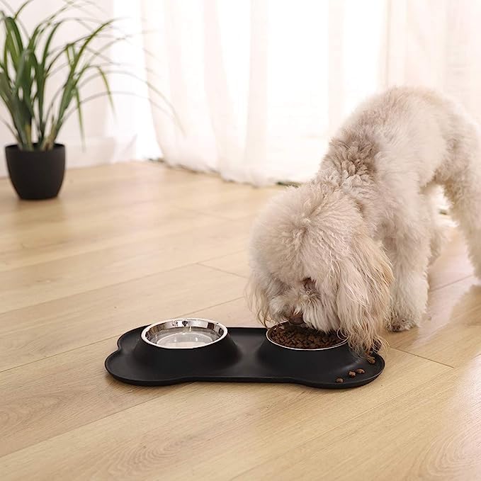 Stainless Steel Pet Food Bowl with Foldable Silicon Mat