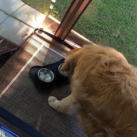 Stainless Steel Pet Food Bowl with Foldable Silicon Mat